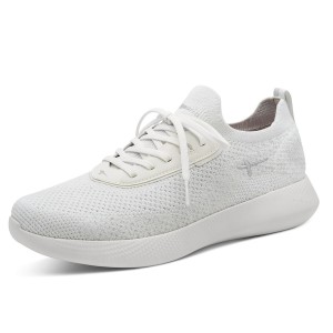 R537